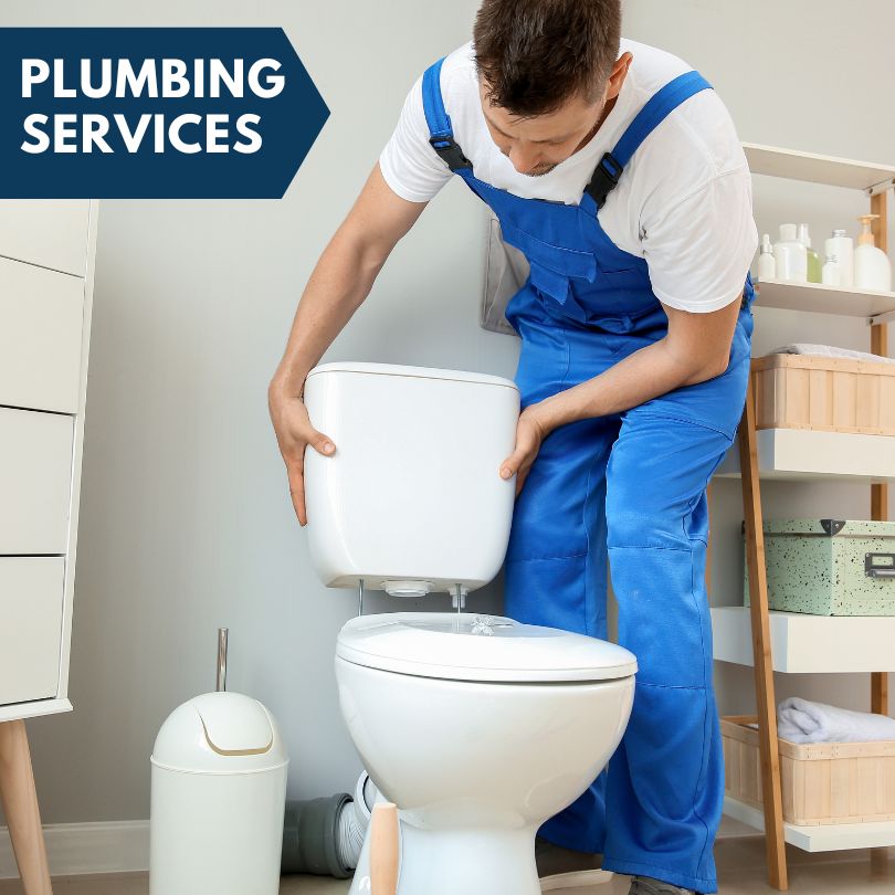 Plumbing Company in Myakka City, FL